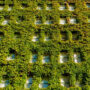 Qué beneficios producen los jardines verticales
