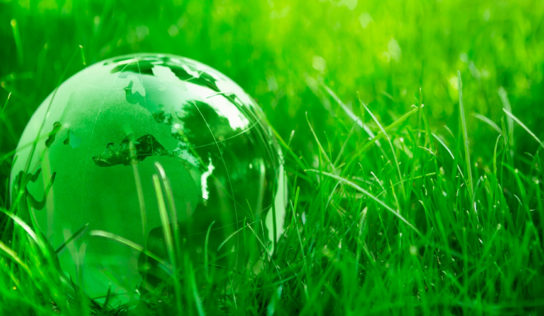 ¿Por qué ofrecer regalos de empresa ecológicos?