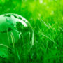 Por qué ofrecer regalos de empresas ecológicos