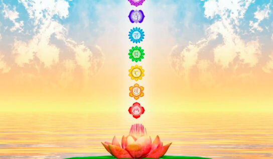 La energía de los chakras, por Almudena Dueñas