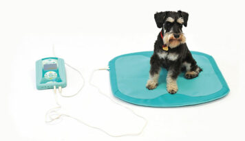 ¡Descubre el poder curativo de la magnetoterapia para tus mascotas!