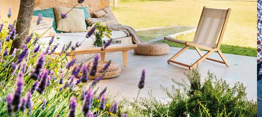 Beneficios de incorporar plantas de temporada en exteriores Beneficios de incorporar plantas de temporada en exteriores