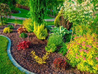 Plantas de primavera para exterior: selección experta desde viveros