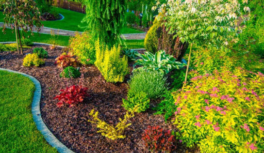 Plantas de primavera para exterior: selección experta desde viveros